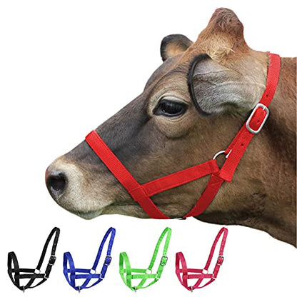 Derby Originals Adjustable Nylon Livestock Cattle Halters - color: Red, size: Medium (500-800lbs)