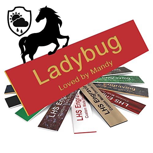 Personalized Horse Stall Name Plates, 2x6 Horse Stall Signs with Adhesive, All Weather UV Protected, Red Plastic Gold Letters - Made in USA - B17 - color: B17 - Red/Gold, size: 2in x 6in (5.1cm x 15.2cm)