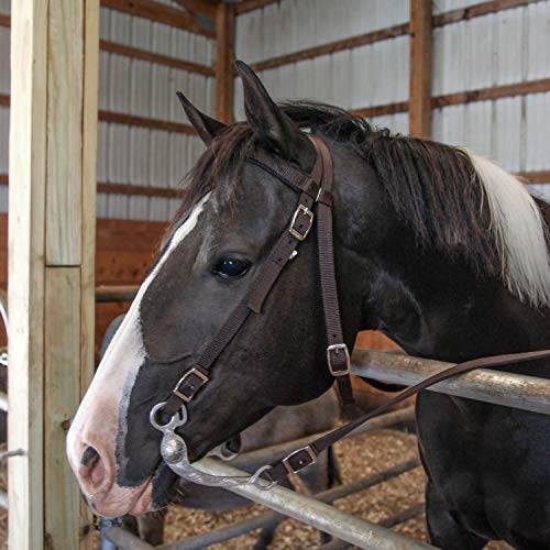 Majestic Ally Nylon Padded Equestrian Browband Headstall, Reins & BreastCollar Set for Horse- Full - color: Hunter Green
