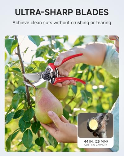 Fondwell 8.5" Professional Hand Pruners Bypass Pruning Shears for Gardening | Heavy Duty Garden Clippers, Cuts 1-Inch Branches, Comfortable Use - Trusted by Professional Landscapers and Nursery Workers - color: Red (Bypass)