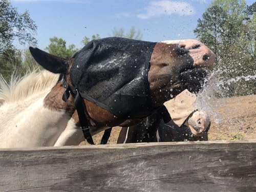 EquiVizor 95% UV Eye Protection (COB) Standard Horse Fly Mask - Help with Uveitis, Corneal Ulcer, Light Sensitivity. Designed to Stay On Your Horse, Off The Ground. - size: COB