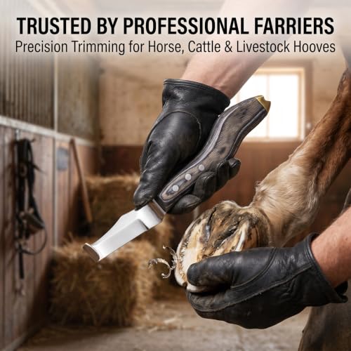 Premium Hoof Knife with Brass End, Stainless Steel