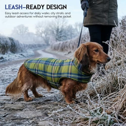ASENKU Dog Winter Coat, Reversible Dog Jacket for Small Medium Large Dogs - color: Army Green, size: X-Small