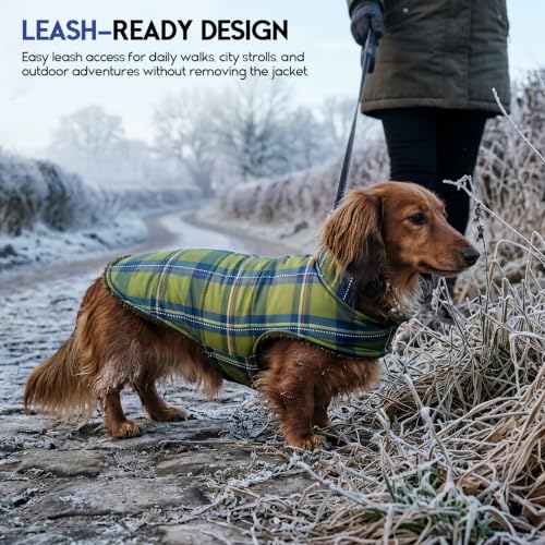 ASENKU Dog Winter Coat, Reversible Dog Jacket for Small Medium Large Dogs - color: Army Green, size: Small