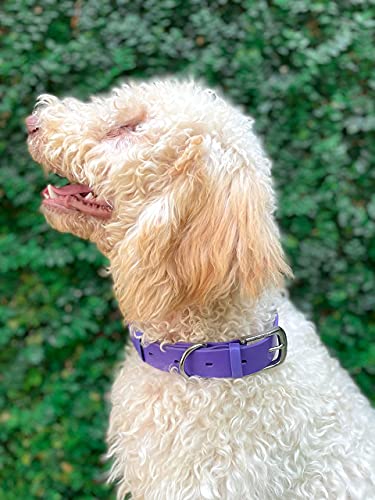 Tuff Pupper Heavy Duty Waterproof Dog Collar for Small, Medium & Large Dogs - color: Royal Purple