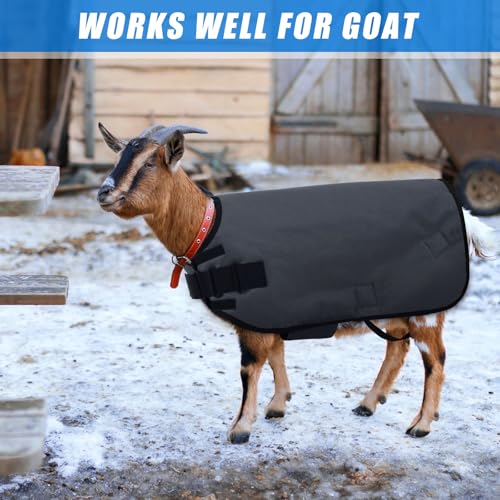 Shinylin Goat Blanket for Winter Sheep & Calf Blanket, Gray, Size XL