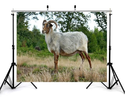 8x8ft Fabric Horned Wool Sheep Backdrop Thick White Fur Dry Grass Green Leaf Woodland Photography Background Tapestry Party Farm Animal Decorations Photo Booth Props - size: 8x8ft