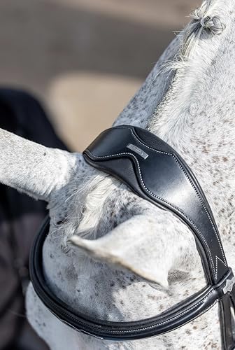 LeMieux Kudos Competition Flash Bridle - color: Black, size: Cob