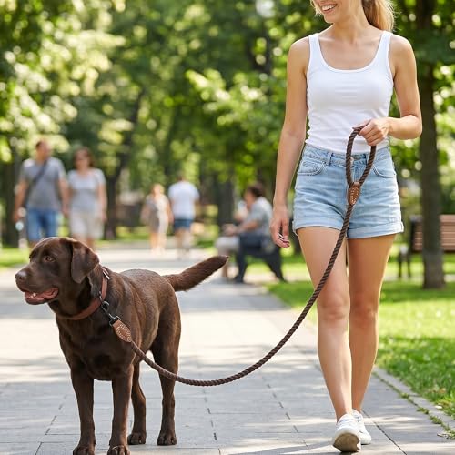 Mile High Life Dog Leash Braided Cotton Rope with Leather-Reinforced Ends - color: Dark Brown, size: 48 Inch-1/2"