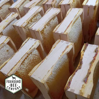 Foxhound Bee Co Comb Honey Cassette, Medium Frames - 40 Cassettes - size: Comb Cassette Medium Frame - 40 Pack