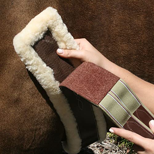 Schneiders Pinnacle Sheepskin Lined Girth for Horses | Size 46 and Comfort | Genuine Sheepskin Lining | Beautiful Fancy Stitching | Double Elastic Ends