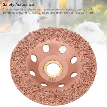 Goat Hoof Trimmers, Horse Hoof Trimming Tools, HL Q7DMP Livestock Hoof Trimming Disc Ti Plated Hoof Trimming Grinding Wheel Plate Hooves Repair Tool for Cattle Horses