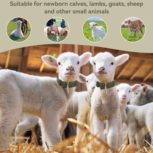 Sheep Collar, Non-Slip Nylon Adjustable Goat Collar Livestock Neck Strap for Farm Ranch Calf Goat Cow Horse Sheep Small Animal Accessories, Total Length 30in (L) - size: L