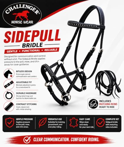 Horse Western Leather Tack Studded Bitless Sidepull Bridle Reins 77RS03 - color: Black