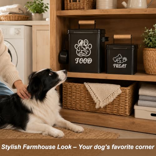 Airtight Dog Treat Container Set of 2 - color: Black