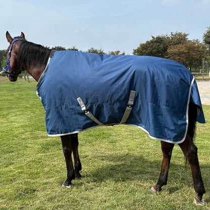 1200D Water-Resistant Winter Horse Trunout Blankets,Medium Weight Poly Sheets (US 81 inch/EU 155 cm) - size: US 81 inch / EU 155 cm
