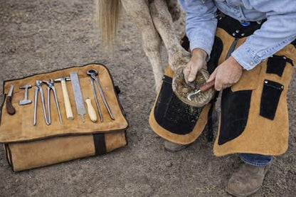 CHALLENGER 8 Piece Horse Shoe Farrier Hoof Grooming Tool Kit Carry Bag Apron Leather 98479