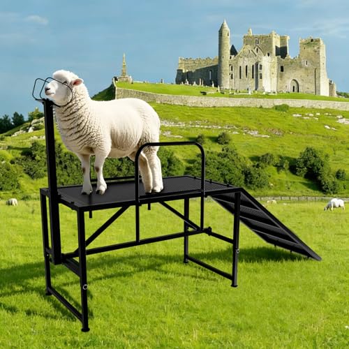 Goat Stand with Ramp for Sheep & Goats, Adjustable Height 20"-32", 47x23" Metal with Headpiece & Nose Loop for Hoof Trimming, Milking & Shearing