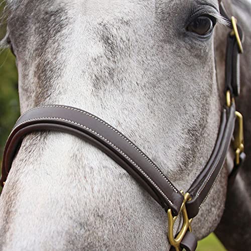 Billy Royal Scottsdale Padded 3/4 Leather Halter for Horses | Exceptional Comfort | Premium Grade A Leather | Adjustable Fit | Minimized Rubs | Enhanced Beauty - size: Full