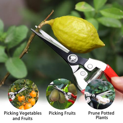 Kynup 3Pack Pruning Shears, Garden Shears, Pruning Shears for Gardening, Gardening Shears Scissors Clippers, Garden Tools Set with Gloves, Stainless Steel, Soft Grip Handle - style: Classic