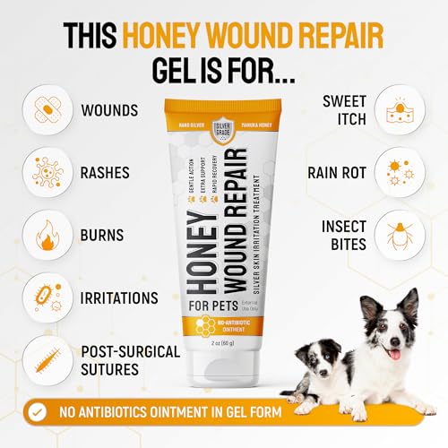 Dog Wound Care with Manuka Honey & Colloidal Silver for Scratches & Skin Irritations – Cat & Dog Hot Spot Treatment Gel Works as Honey Rapid Wound Repair for Horses – for All Pets – 2-Oz