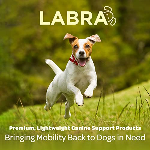 Labra Dog Rear Leg Hock Joint Compression Wrap - Supportive Brace for Weak Back Legs, ACL Tear, and Joint Discomfort - Adjustable Hind Leg Support for Senior Dogs - Medium - size: Medium