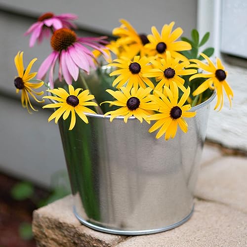 5 Quart Galvanized Steel Pail, Metal Bucket - color: 5 Quart Steel Pail