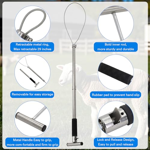 Dog Catcher Pole Animal Control Pole Cat Catcher Pole Heavy Duty Catch Pole Trap Kit for Dogs, Pig Fox, Hog and Other Wildlife, Length 30 inches