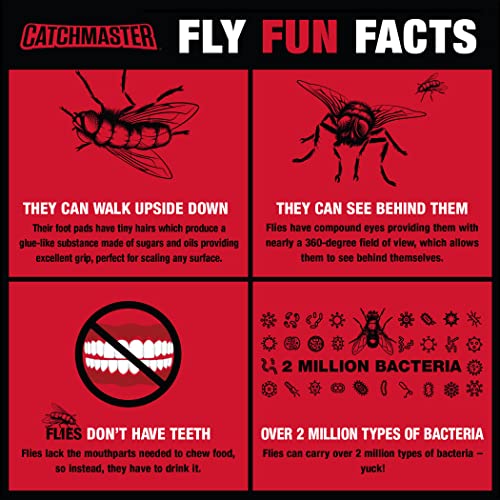 Catchmaster Fly Trap Bundle, Fly Ribbon 20-Pack & Fly Bag 4-Pack, Fruit Fly Traps for Indoors & Outdoors, for Garage, Backyard, Pool, Patio & Camping