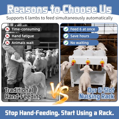 6-Slot Lamb Feeding Station with 8 Bottles & 6 Nipples
