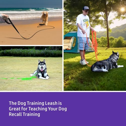 m yyAA Dog Long Leash, Purple, 6FT - color: Purple, size: 6FT