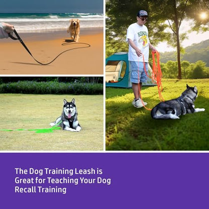 m yyAA Dog Long Leash, Purple, 6FT - color: Purple, size: 6FT