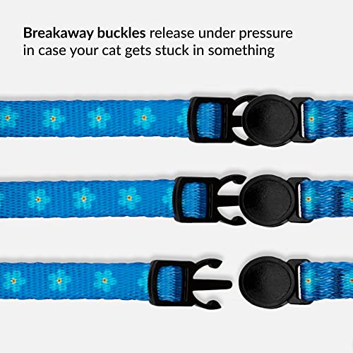 Floral Cat Collar 2-Pack, Breakaway with Bell - color: Black & Blue