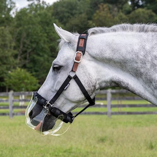 Thinline Turnout Halter for Use with Grazing Muzzle | Horse Equine Safe Comfortable Adjustable Breakaway Halter - Size Options - size: Medium Mini