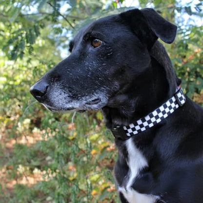 Checkered Pattern Dog Collar in Black & White - Adjustable Dog Collar for Boy and Girl Dogs with Quick Release Buckle by Limeloot, Small - color: Checkered, size: Small