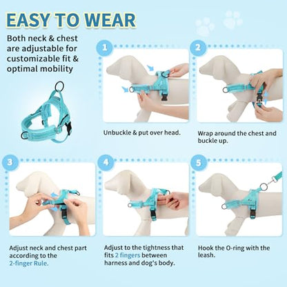 SlowTon No Pull Small Dog Harness and Leash Set with Front Clip | Soft Padded, Neck & Chest Adjustable, Lightweight, Anti-Twist, Puppy Vest Harness Pet Lead Combo for Small Medium Dog, TL XS - color: Teal, size: X-Small