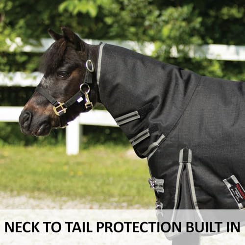 STORM SHIELD Classic II Mini Horse Turnout Blanket | Attached Neck Euro Fit | 1200D Ripstop Waterproof Protection | Contour Collar | Winter Horse Blanket - size: Horse Size 38, style: Sheet (no insulation)
