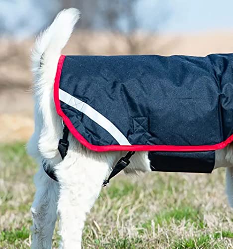 Horseware® Goat Rug - Navy/Red, L - color: Navy/Red, size: L