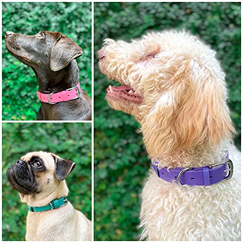 Tuff Pupper Heavy Duty Waterproof Dog Collar for Small, Medium & Large Dogs - color: Royal Purple
