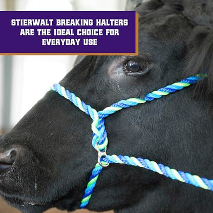 Weaver Livestock Poly Rope Breaking Cattle Halter, Adjustable Cow Calf Halter, Livestock Handling Equipment, Blue/Hurricane Blue/Lime Zest - color: Blue/Hurricane Blue/Lime Zest