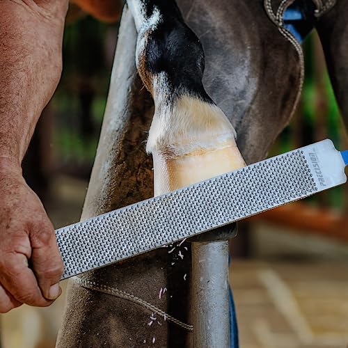 Hoof Rasp 14 inch, Carbon Steel Farrier File Tool for Easy Cleaning, Horseshoe File with Easy Grip for Cow, Horse, Goat and Pig