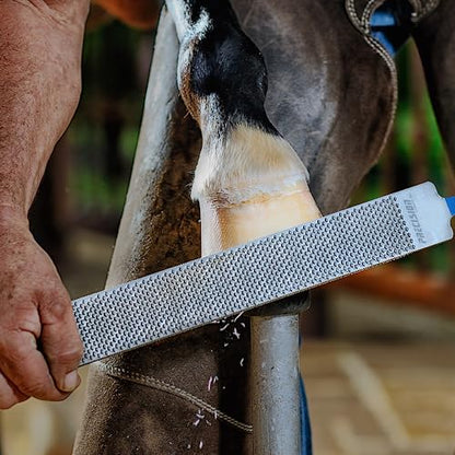 Hoof Rasp 14 inch, Carbon Steel Farrier File Tool for Easy Cleaning, Horseshoe File with Easy Grip for Cow, Horse, Goat and Pig