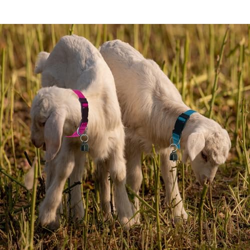 3 Pack Goat Collars with Bell，Adjustable Nylon Collar Set Sheep Collar with Cow Horse Sheep Grazing Copper Bells Accessories for Cow Goat and Small Farm Animal Pet Goat Sheep Cow Accessories