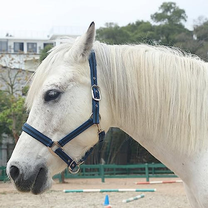 Adjustable Horse Halters - Heavy Duty Nylon Webbing & Hardware, Padded with Anti Chafing Foam-Cushioned on Crown & Nose - color: Dark Blue, size: Pony