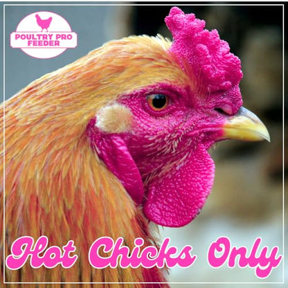 Poultry Pro Hot Chick Feeder Kit, Weatherproof, 3 Ports & Hole Saw - style: Hot Chick Feeder Kit