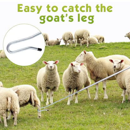 Goat Catcher Leg Hook, Sheep Catching Tools Stainless Catching Sheep Leg Crook Hook Catcher Poultry Leg Pole for Breeding Farms Grabber Capture Tool (63") - size: 63"
