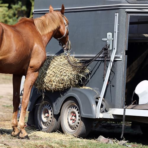 Cididu 10 Pack Bucket Hooks for Horses, Metal Water Bucket Hangers with Screws, Heavy Duty Wall Mount Feed Bucket Holder for Horse Stalls Stable Livestock Barn Farmhouse Supplies
