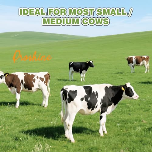 φ25mm Double Head Teat Cup for Cow, Milking Machine Accessory - style: Cups for cow