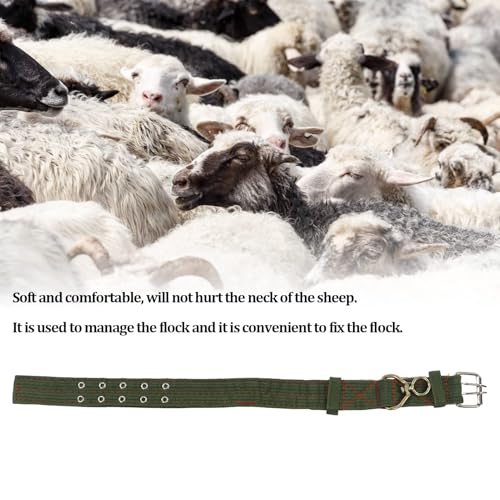Sheep Collar, Non-Slip Adjustable Turn Buckle Collar Farm Animal Goat TieCollar with 2-Rows Metal Buckle and Traction Chain for Cow Goat Sheep Nylon Neck Strap Cow Collar(S) - size: S