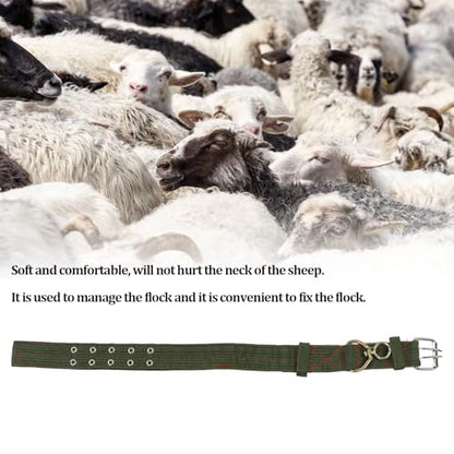 Sheep Collar, Non-Slip Adjustable Turn Buckle Collar Farm Animal Goat TieCollar with 2-Rows Metal Buckle and Traction Chain for Cow Goat Sheep Nylon Neck Strap Cow Collar(S) - size: S